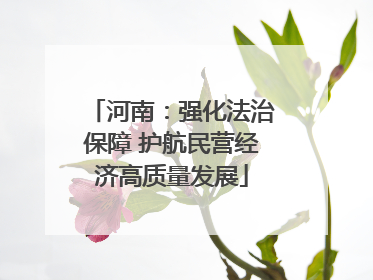 河南：强化法治保障 护航民营经济高质量发展