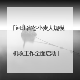 河北省冬小麦大规模机收工作全面启动