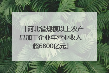 河北省规模以上农产品加工企业年营业收入超6800亿元