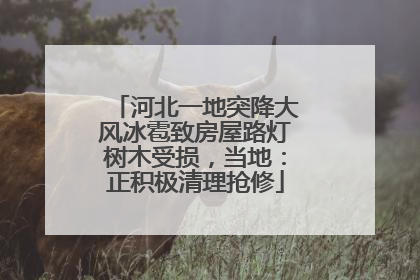 河北一地突降大风冰雹致房屋路灯树木受损，当地：正积极清理抢修