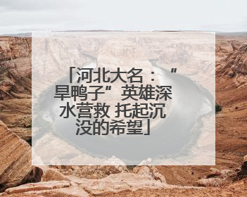 河北大名：“旱鸭子”英雄深水营救 托起沉没的希望