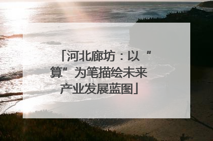 河北廊坊：以“算”为笔描绘未来产业发展蓝图