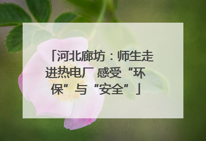 河北廊坊：师生走进热电厂 感受“环保”与“安全”