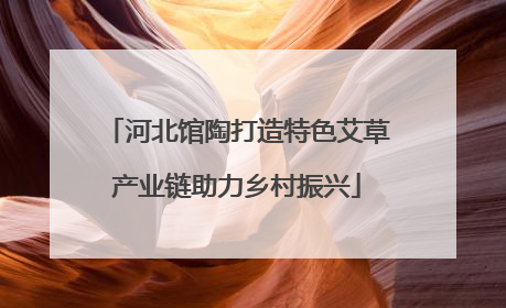 河北馆陶打造特色艾草产业链助力乡村振兴