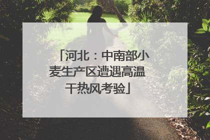 河北：中南部小麦生产区遭遇高温干热风考验