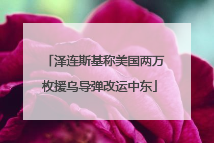 泽连斯基称美国两万枚援乌导弹改运中东