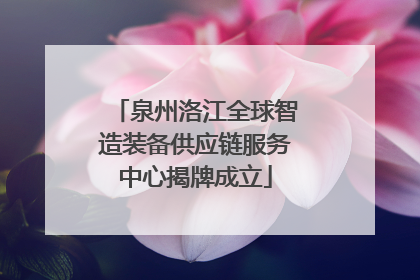 泉州洛江全球智造装备供应链服务中心揭牌成立