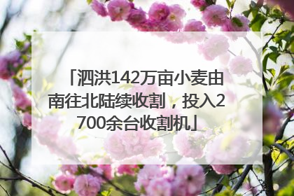 泗洪142万亩小麦由南往北陆续收割，投入2700余台收割机