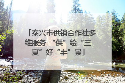 泰兴市供销合作社多维服务 “供”绘“三夏”好“丰”景