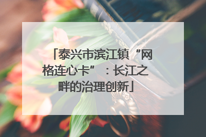 泰兴市滨江镇“网格连心卡”：长江之畔的治理创新