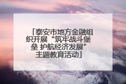 泰安市地方金融组织开展“筑牢战斗堡垒 护航经济发展”主题教育活动