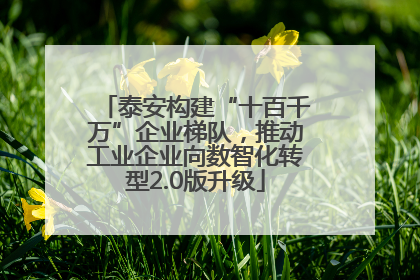 泰安构建“十百千万”企业梯队，推动工业企业向数智化转型2.0版升级