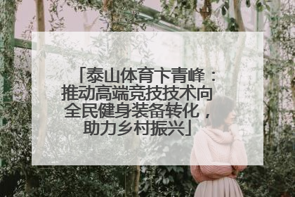 泰山体育卞青峰：推动高端竞技技术向全民健身装备转化，助力乡村振兴