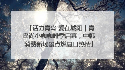 活力青岛 爱在城阳｜青岛尚小咖咖啡季启幕，中韩消费新场景点燃夏日热情