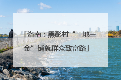 洛南：黑彰村“一地三金”铺就群众致富路