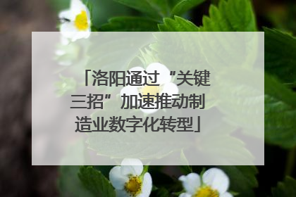 洛阳通过“关键三招”加速推动制造业数字化转型