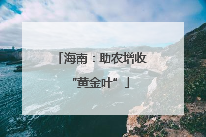 海南：助农增收 “黄金叶”