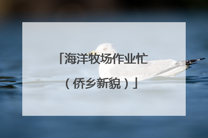 海洋牧场作业忙（侨乡新貌）