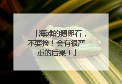海滩的鹅卵石,不要捡!会有很严重的后果!