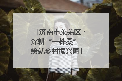 济南市莱芜区：深耕“一株桑” 绘就乡村振兴图