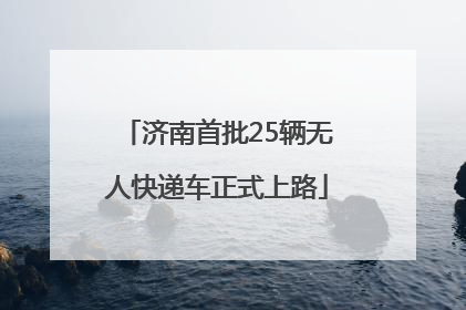济南首批25辆无人快递车正式上路