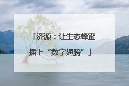 济源：让生态蜂蜜插上“数字翅膀”
