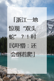 浙江一地惊现“双头蛇”？！村民吓懵：还会倒着爬