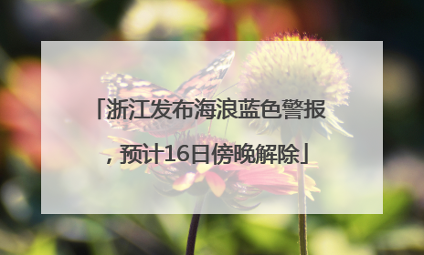 浙江发布海浪蓝色警报，预计16日傍晚解除