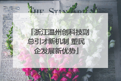 浙江温州创科技副总引才新机制 塑民企发展新优势