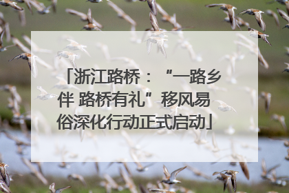 浙江路桥：“一路乡伴 路桥有礼”移风易俗深化行动正式启动