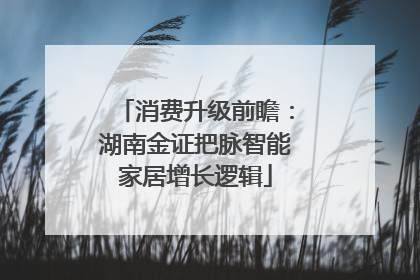 消费升级前瞻：湖南金证把脉智能家居增长逻辑