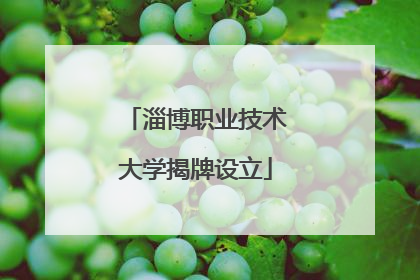淄博职业技术大学揭牌设立