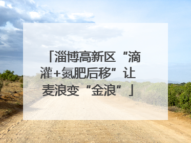 淄博高新区“滴灌+氮肥后移”让麦浪变“金浪”