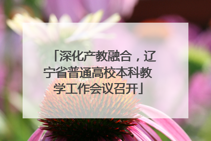 深化产教融合，辽宁省普通高校本科教学工作会议召开