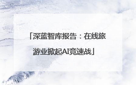 深蓝智库报告：在线旅游业掀起AI竞速战