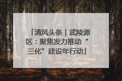清风头条｜武陵源区：聚焦发力推动“三化”建设年行动