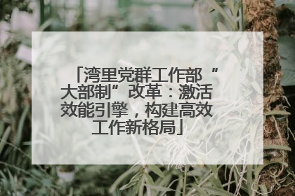 湾里党群工作部“大部制”改革：激活效能引擎，构建高效工作新格局