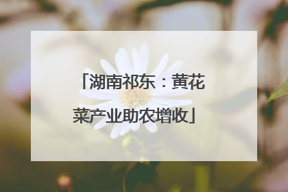 湖南祁东：黄花菜产业助农增收