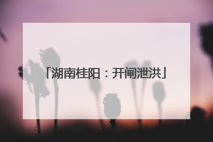 湖南桂阳：开闸泄洪