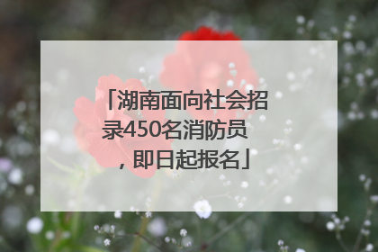湖南面向社会招录450名消防员，即日起报名