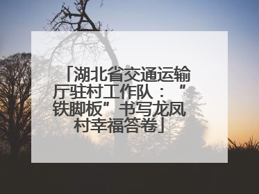 湖北省交通运输厅驻村工作队：“铁脚板”书写龙凤村幸福答卷