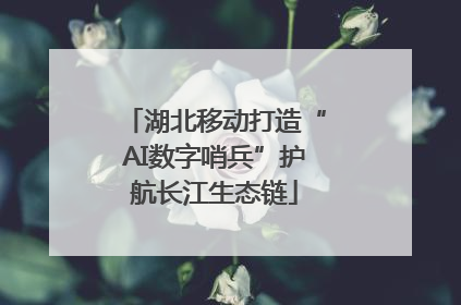 湖北移动打造“AI数字哨兵”护航长江生态链
