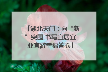 湖北天门：向“新”突围 书写宜居宜业宜游幸福答卷