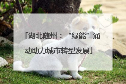 湖北随州：“绿能”涌动助力城市转型发展