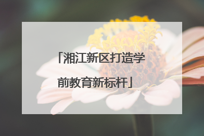 湘江新区打造学前教育新标杆