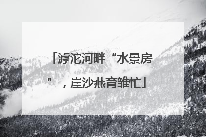 滹沱河畔“水景房”，崖沙燕育雏忙