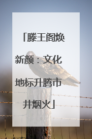 滕王阁焕新颜：文化地标升腾市井烟火