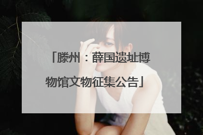 滕州：薛国遗址博物馆文物征集公告