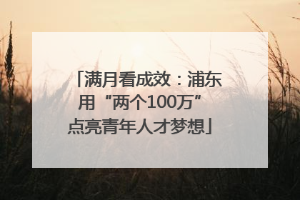 满月看成效：浦东用“两个100万”点亮青年人才梦想