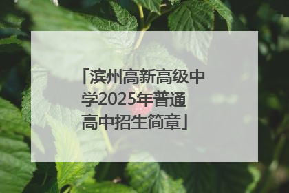 滨州高新高级中学2025年普通高中招生简章